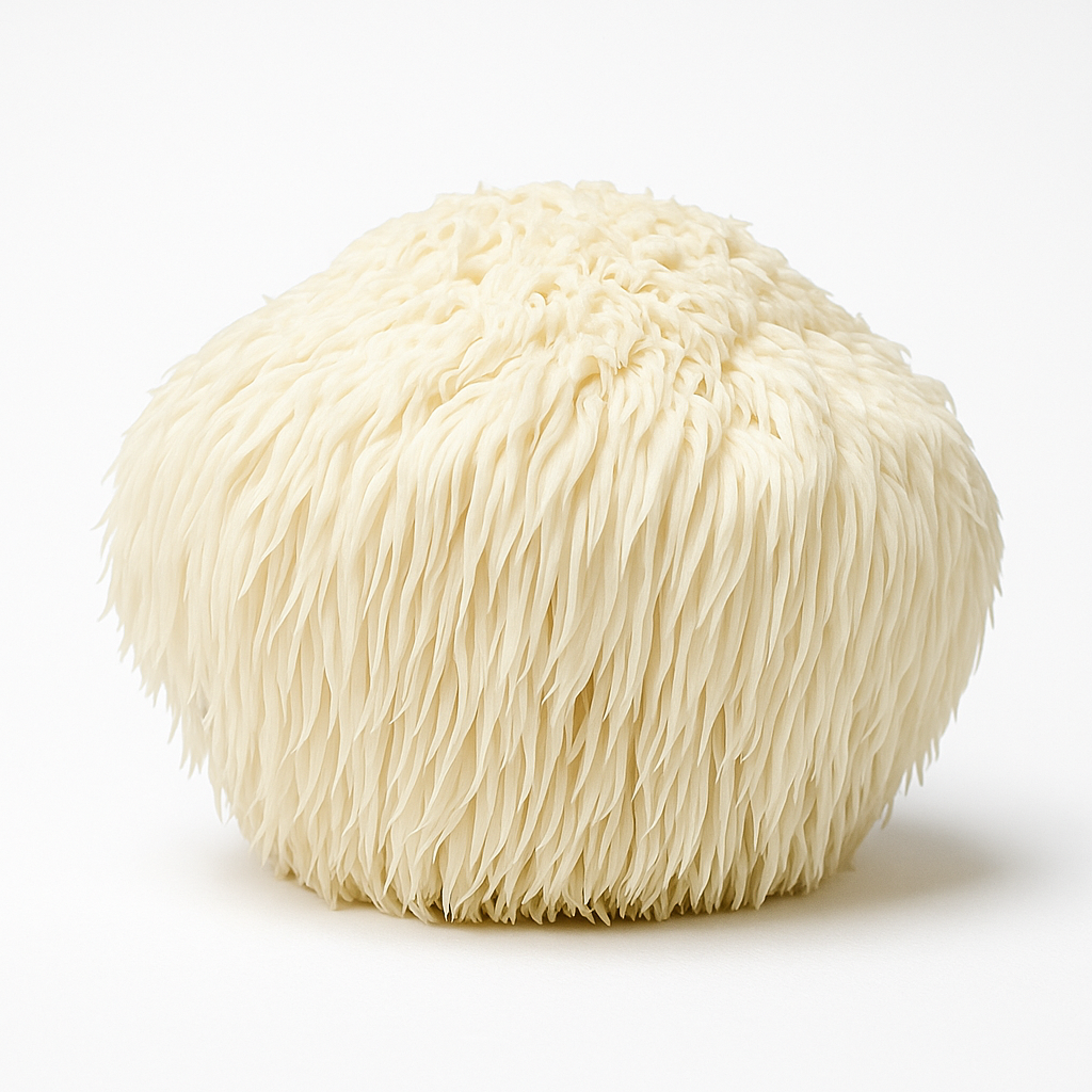 Lion’s Mane mushroom
